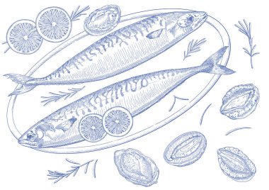 Mackerel Abalone Fares in Pen Style Illustration clipart