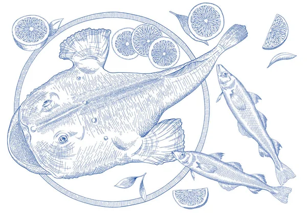 Pollack Seeteufel Meeresfrüchte Pen Style Illustration — Stockvektor
