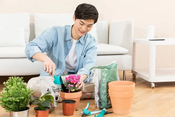 Giovane Uomo Asiatico Repotting Piante Giardinaggio Domestico — Foto Stock