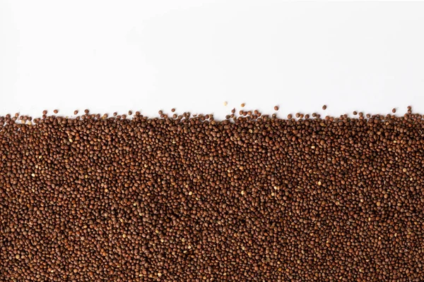 Perilla Seeds Spread White Background — Stock Photo, Image