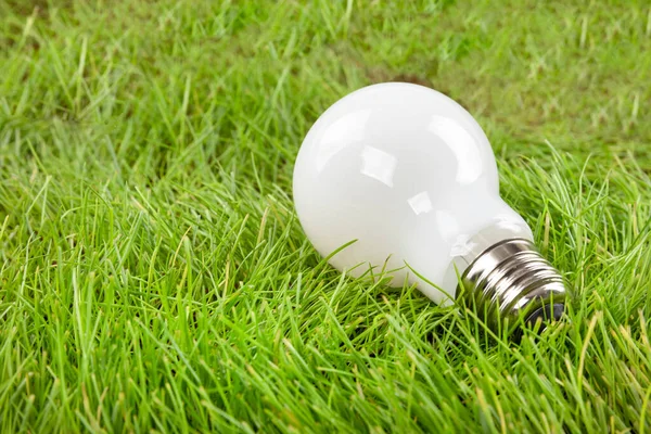 Opaque white light bulb on green grass