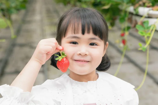 Çiftlikte Çilekle Poz Veren Tatlı Asyalı Genç Kız — Stok fotoğraf