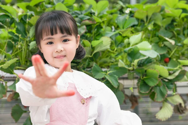 Asian Young Girl Showing Hands Turned Red Due Strawberry — Stock Photo, Image