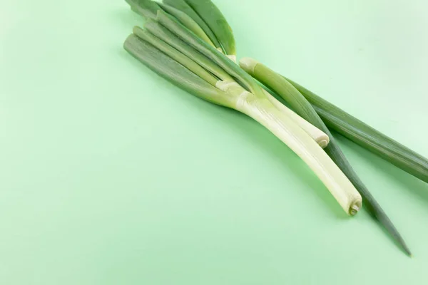 Chopped Green Onion Green Background — Stock Photo, Image