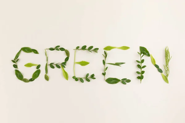 Зеленый Текст Цветами Растениями Листьями — стоковое фото