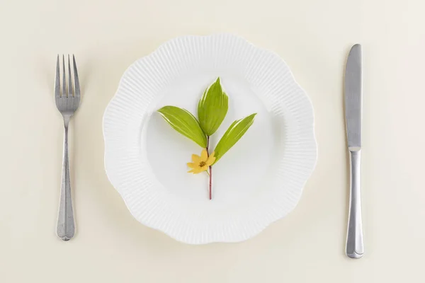 Fiore Foglie Piatto Con Coltello Forchetta — Foto Stock