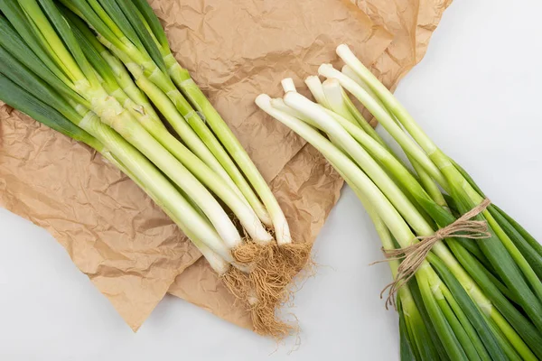 Groene Lente Papier — Stockfoto