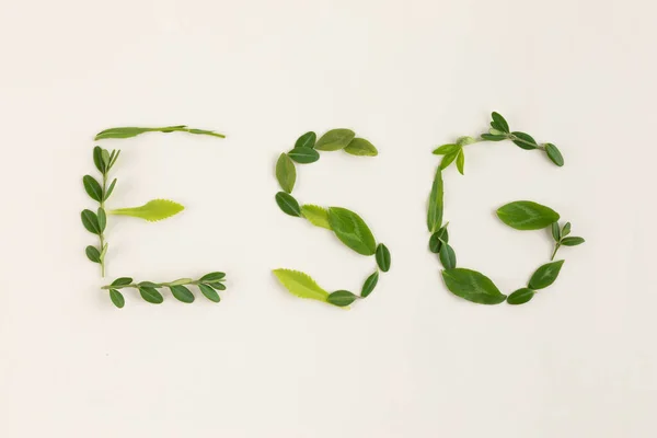 Esg Текст Цветами Растениями Листьями — стоковое фото