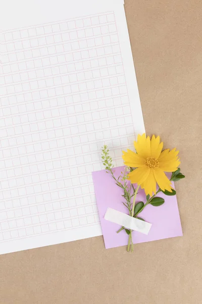 Flower Card Squared Manuscript Paper — Stock Photo, Image