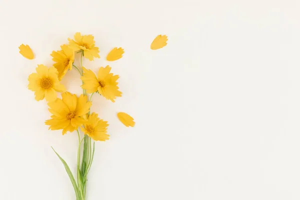 Bunga Bunga Liar Daun Hijau Dengan Latar Belakang Kuning — Stok Foto
