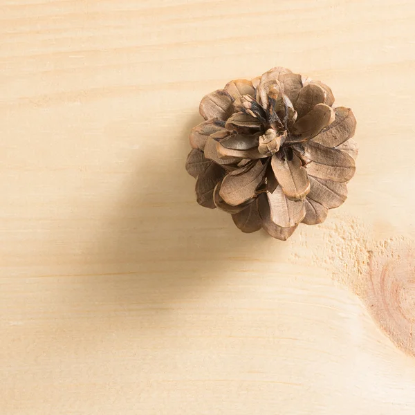 Pine Cone on Wood