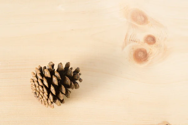 Tannenzapfen auf Holz — Stockfoto