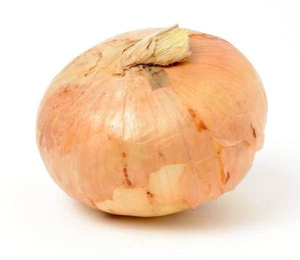 Onion — Stock Photo, Image