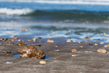 Deniz kıyısındaki kumdaki bir taşa odaklan..