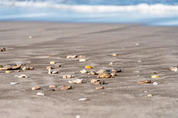 Deniz kıyısındaki taşlı kumlar.