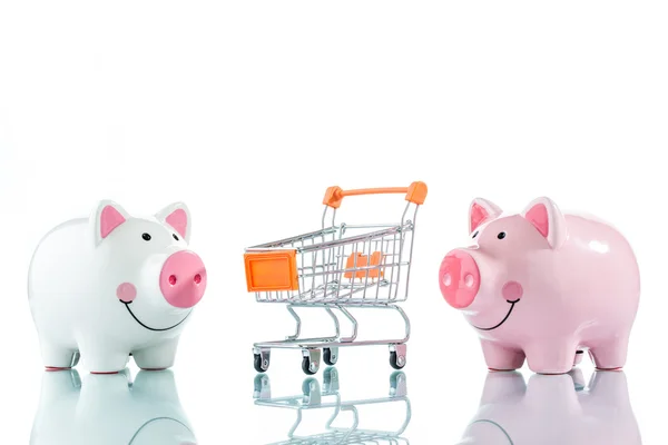 Piggy bank en een winkelwagentje geïsoleerd op wit — Stockfoto