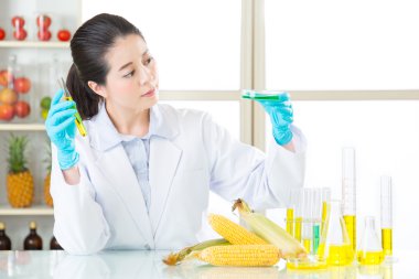 kadın bilim adamı GDO için seyir güvenliği için dna Mısır