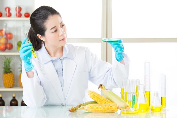 Női tudós keresi a gmo kukorica DNS-biztonsági — Stock Fotó