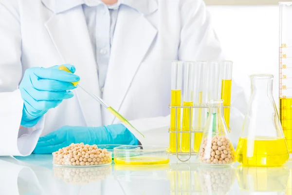 Cientista asiática fazendo pesquisa de modificação genética de soja — Fotografia de Stock
