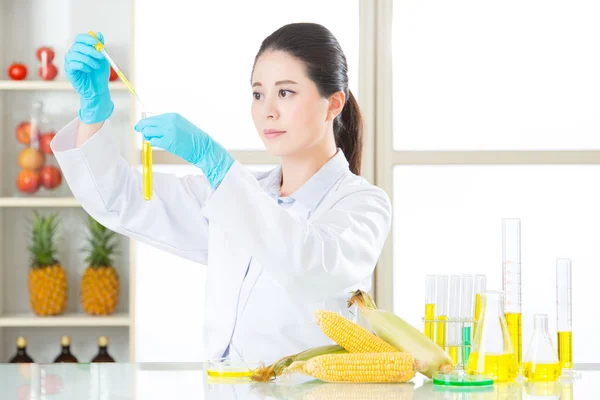 Növényi sejtbiológia kutatás géntechnológiával módosított élelmiszer GMO — Stock Fotó