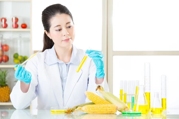 Laboratoriumanalyse van maïs GGO-voedsel voor test — Stockfoto