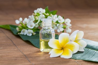 Uçucu yağ, çiçek, yaprak yeşil, bulanıklık arka plan, sağlık sp