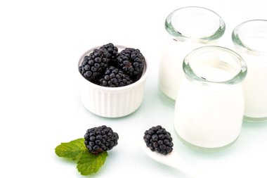 yoğurt ve blackberry, diyet, tazelik ile sağlıklı kahvaltı