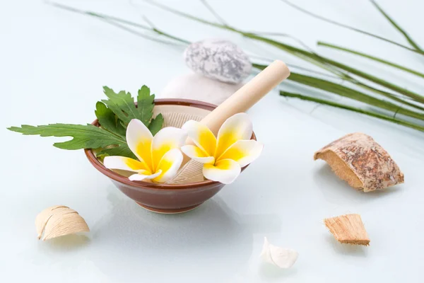 Wellness-Konzept mit Mörser und Stößel, Blumen, Blatt und Stein — Stockfoto