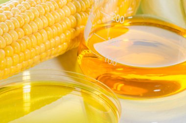 Biofuel or Corn Syrup sweetcorn clipart