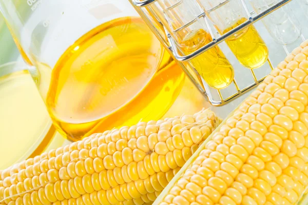 Biopaliva nebo kukuřičný sirup kukuřice cukrová — Stock fotografie