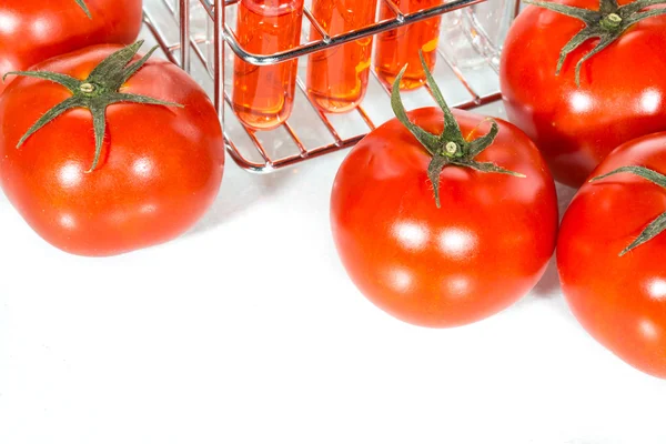 Gemüsetest, genetische Veränderung, Tomate — Stockfoto