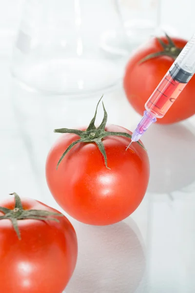 Modificação genética copos de laboratório de tomate vermelho em branco — Fotografia de Stock