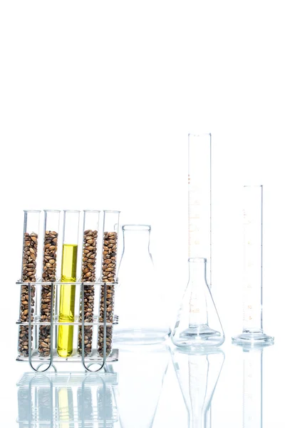 Trigo modificado genéticamente, célula vegetal — Foto de Stock