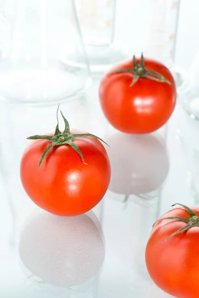 Modificação genética copos de laboratório de tomate vermelho em branco — Fotografia de Stock