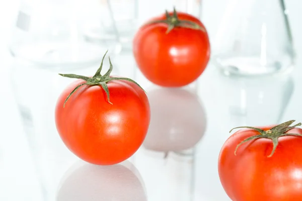 Modificação genética copos de laboratório de tomate vermelho em branco — Fotografia de Stock