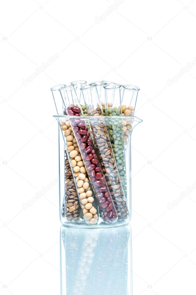 Legume with Wheat genetically modified, Plant Cell
