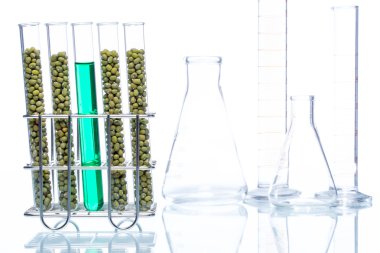 Mung fasulye bitki hücre genetiği değiştirilmiş,