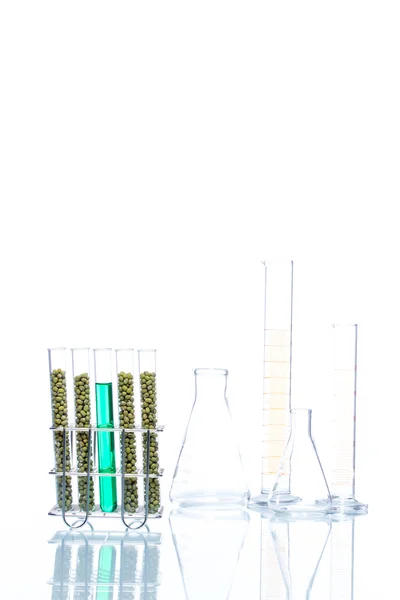 Frijol mungo modificado genéticamente, célula vegetal — Foto de Stock