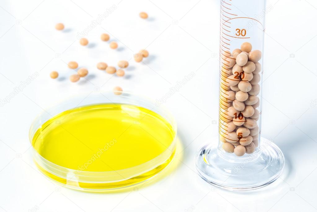Soybean genetically modified, Plant Cell, Petri Dish
