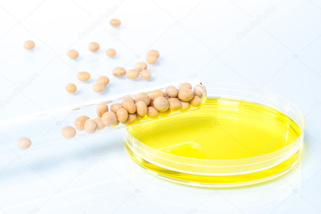 Soybean genetically modified, Plant Cell