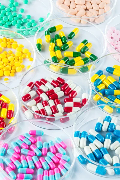 Medicamento colorato in Piatto di Petri, Sanità e Medicina — Foto Stock