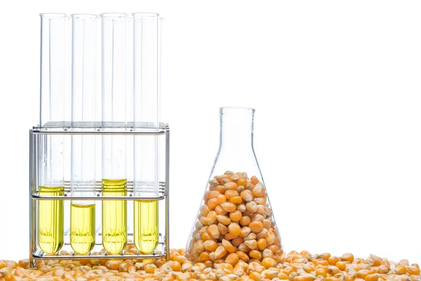 Investigación en energía de maíz, biocombustible y gmo en laboratorio — Foto de Stock