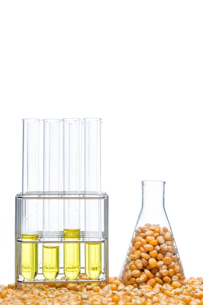 Kutatási kukorica energia, a bioüzemanyagok és a laboratórium gmo — Stock Fotó
