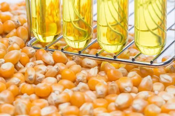 Pesquisa energia do milho, biocombustível e gmo em laboratório — Fotografia de Stock