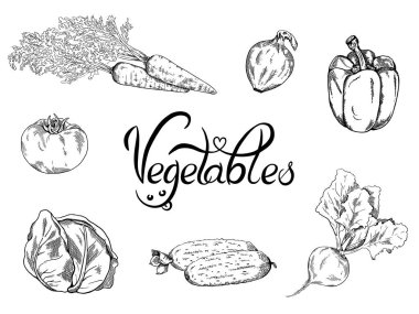 Sebze el yapımı klasik çerçeve çizimi. El yazısıyla çizilmiş sebze posteri. Vejetaryen organik ürünler. Ayrıntılı yemek çizimi. Menü, pankart, etiket, logo, broşür için harika