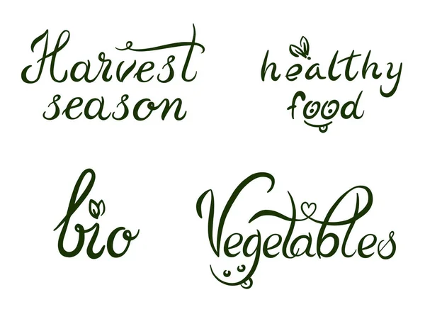 Aliments Sains Dessinés Main Bio Légumes Lettrage Saison Des Récoltes — Image vectorielle