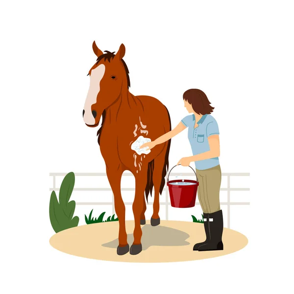 女の子は馬を洗う。ペットケア。馬に乗って。馬術スポーツ。フラットスタイルの絶縁ベクトルイラスト。現実的なイメージ。乗馬のレッスン — ストックベクタ