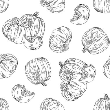 Balkabağı grafik mürekkep vektör çizimi, el çizimi çizimi, restoran menüsü için kusursuz desen, sonbahar bayramı sembolü, hasat, duvar kağıdı, tekstil, ambalaj tasarımı