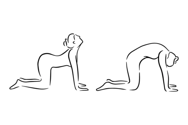Stilisierter Mensch in Yoga-Katzenpose, Majariasana. Vektor-Illustration des Lineart-Stils. Yoga-Pose flache Linie Symbol, einfaches Zeichen der Frau in einfacher Pose Handgezeichnete Illustration — Stockvektor