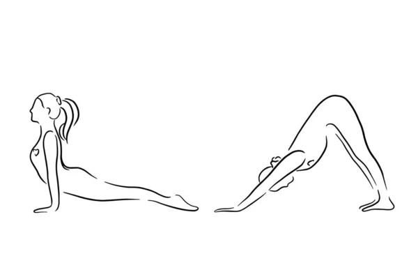 Stilisierter Mensch in Yoga-Hundepose, urdhva mukha svanasana und adho mukha svanasana. Handgezeichnete Vektorillustration des Lineart-Stils. Yoga-Pose flache Linie Symbol, einfaches Zeichen der Frau in einfacher Pose — Stockvektor